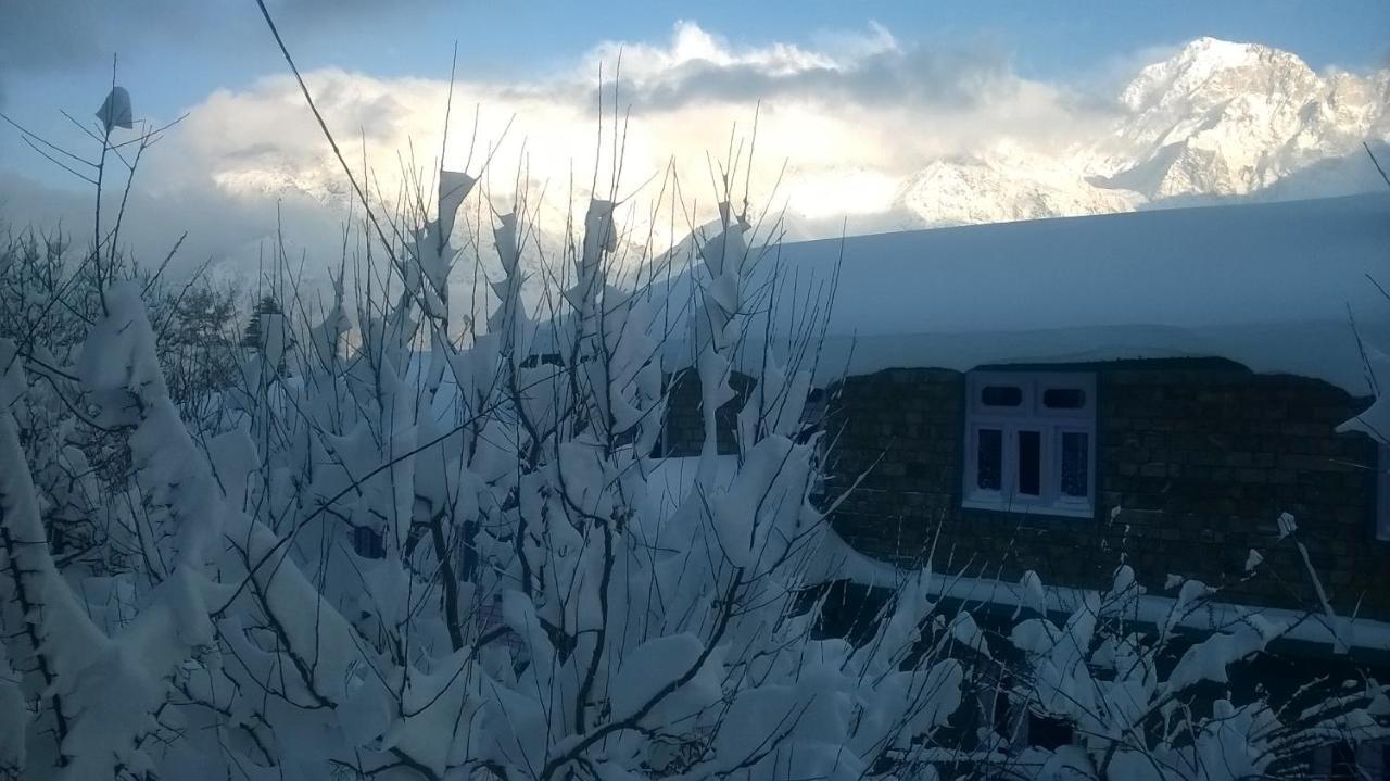 Farmvilla Homestay Kalpa Eksteriør billede